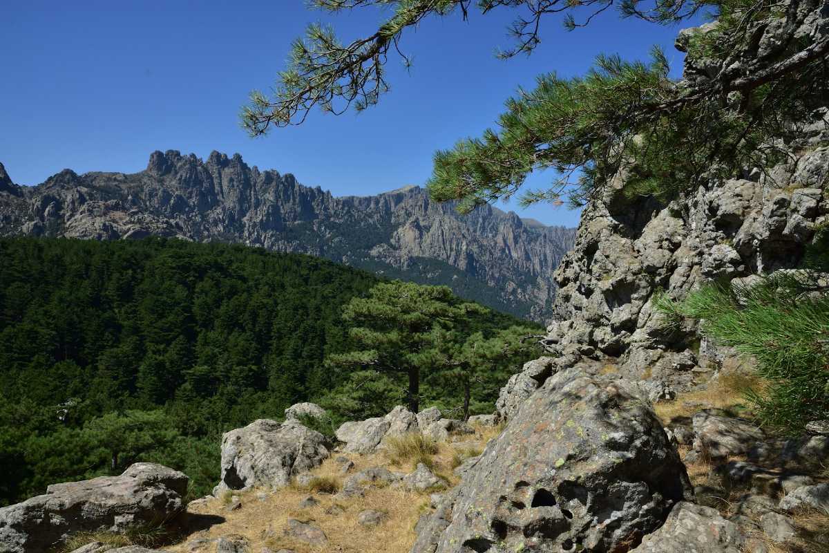 Sur les sentiers du col de Bavella à Zonza / Bertrand Borie