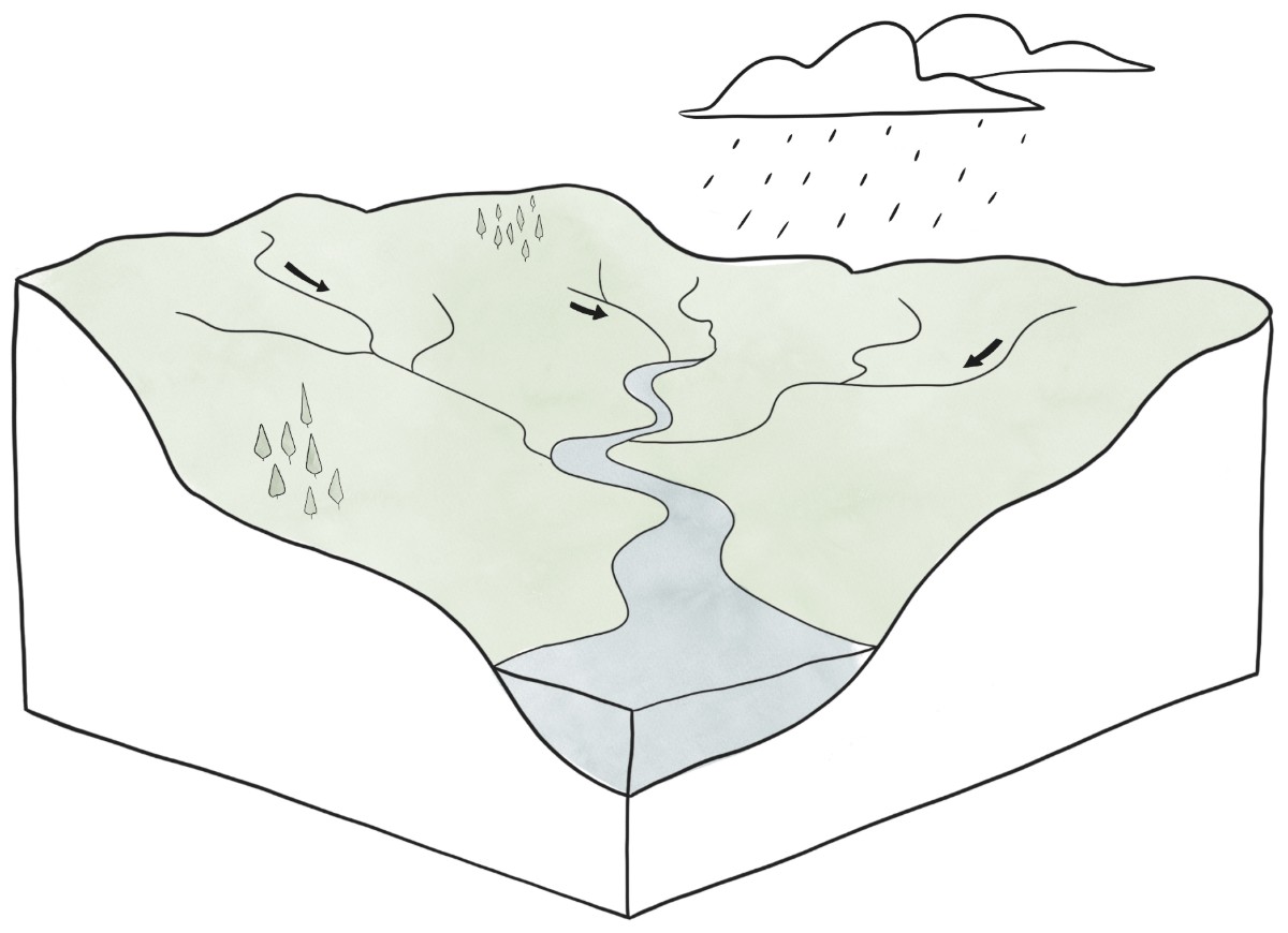Dessin schématisé d'une bassin versant