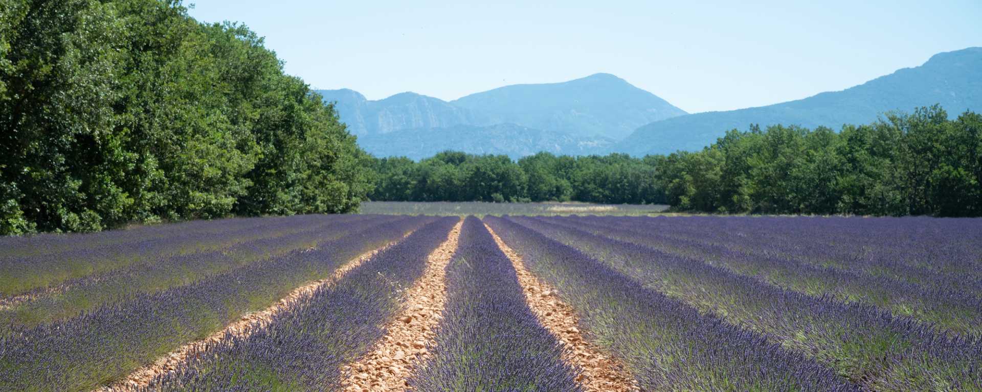 Alpes de Haute Provence PACA