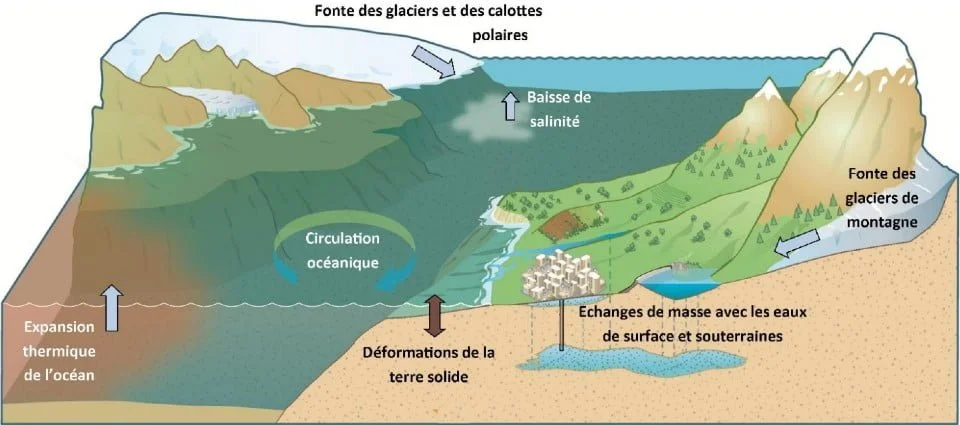 Processus des variations du niveau marin